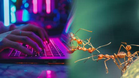 Kein schöner Anblick: Verzweifelter Spieler bittet um Hilfe, weil sein Laptop von Ameisen befallen wurde