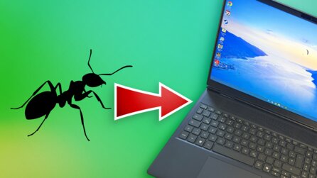 Was im Laptop eines Reddit-Users lebte, hat mich sprachlos gemacht!