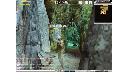 Anarchy Online - Dritter Geburtstag