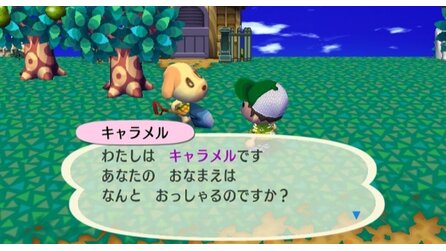 Animal Crossing: City Folk Wii