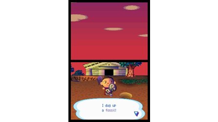 Animal Crossing Wild Wild World DS