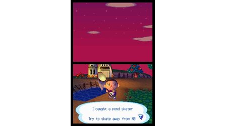 Animal Crossing Wild Wild World DS