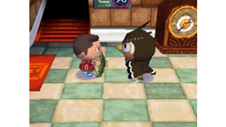 Animal Crossing Wild Wild World DS