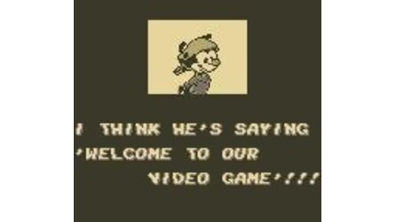 Animaniacs Game Boy
