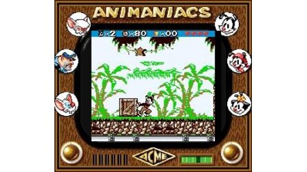 Animaniacs Game Boy