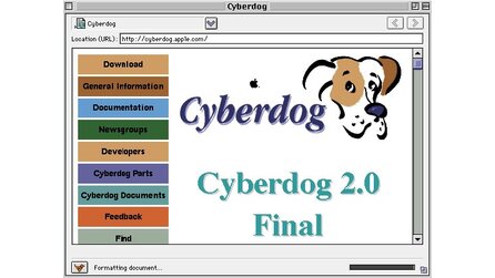 Die größten Computerflops