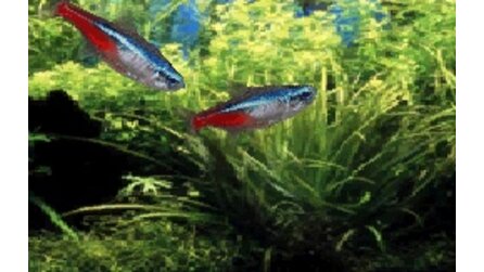 Aquarium by DS