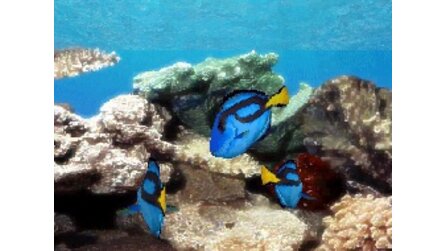 Aquarium by DS