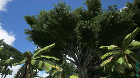 Grafik im Wandel der Zeit - Vegetation in Ark: Survival Evolved