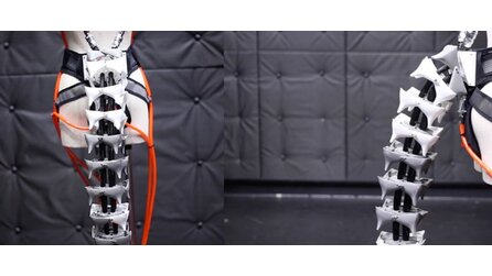 Robotic Tails - Künstliches Körperteil für Menschen soll mehr Balance ermöglichen