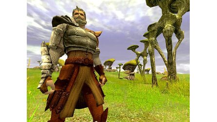 Asherons Call 2