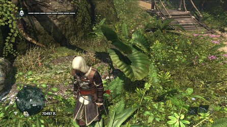 Grafik im Wandel der Zeit - Vegetation in Assassins Creed 4: Black Flag