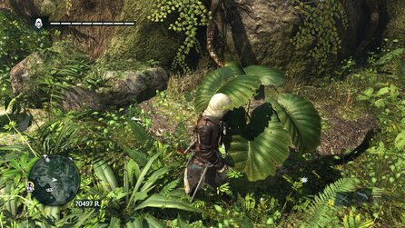 Grafik im Wandel der Zeit - Vegetation in Assassins Creed 4: Black Flag