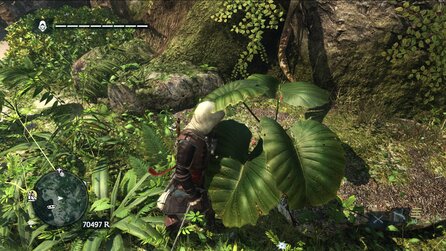 Grafik im Wandel der Zeit - Vegetation in Assassins Creed 4: Black Flag