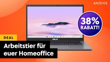 Der perfekte Laptop für E-Mails, Präsentationen + Berichte – egal ob im Büro oder im Homeoffice