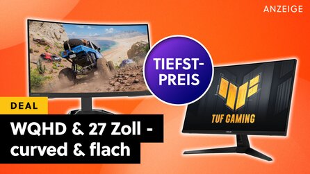 27 Zoll, WQHD + +144Hz: Den Goldstandard günstiger Gaming-Displays gibt’s jetzt curved oder flach im Amazon-Angebot