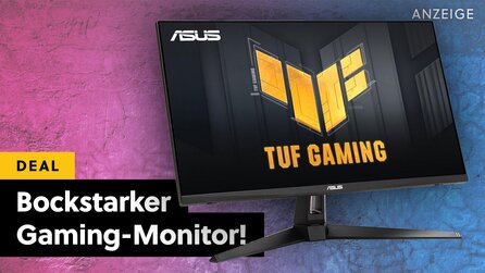 WQHD, 170 Hz und super günstig: ASUS Monitor im Angebot!