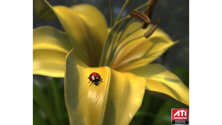 Technik-Demo ATI Ladybug - Screenshots