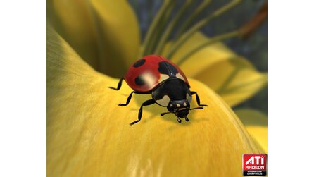 Technik-Demo ATI Ladybug - Screenshots