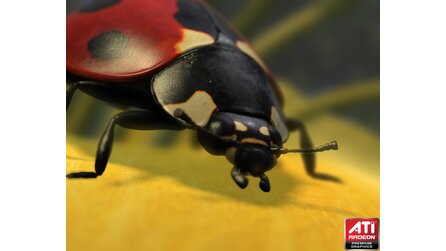 Technik-Demo ATI Ladybug - Screenshots