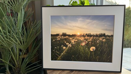 Einer der besten digitalen Bilderrahmen: Ich habe den 15 Zoll großen Aura Walden ausprobiert – lohnt sich der Preis?