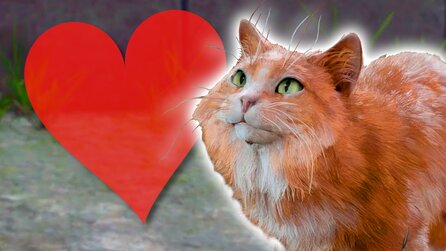 Baldurs Gate 3: Eine geheime Quest habt ihr vielleicht auch nach hunderten Stunden übersehen