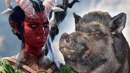 In Baldurs Gate 3 klettert ein Wildschwein Leitern runter und das Netz ist entzückt