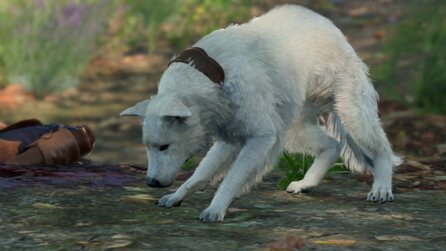 »Alle haben geweint« - Fan-Brief löst bewegenden Moment bei den Machern von Baldurs Gate 3 aus