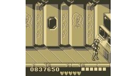 Battletoads + Double Dragon: The Ultimate Team Game Boy