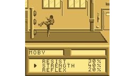 Best of the Best Championship Karate Game Boy