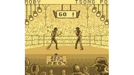 Best of the Best Championship Karate Game Boy