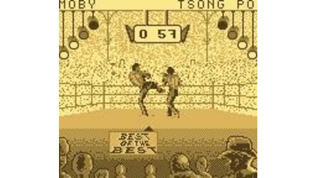 Best of the Best Championship Karate Game Boy