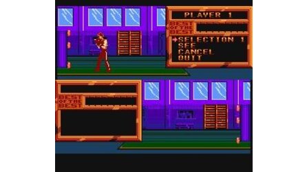 Best of the Best Championship Karate NES