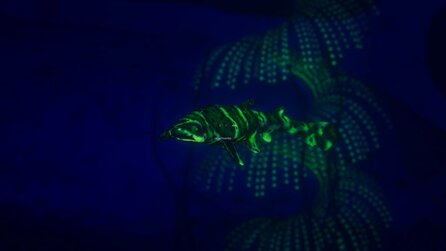 Beyond Blue - Screenshots