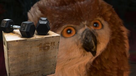 Baldurs Gate 3: Irrer Eulenbären-Trick sprengt Gegner mit zig tausend Schaden weg