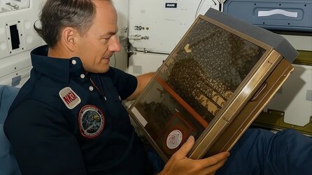 1984 nahm das Space Shuttle Challenger 3.300 Bienen mit ins All: Was sie in 7 Tagen zeigten, verblüfft bis heute