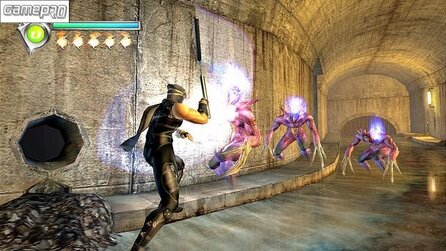 Ninja Gaiden