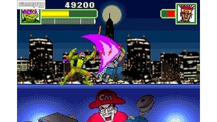 Teenage Mutant Ninja Turtles