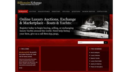 BillionaireXchange - Online-Auktionen für Superreiche