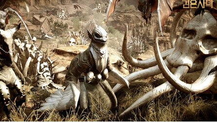 Black Desert Online - Entwickler-Feedback - So steht es um das Sandbox-MMO