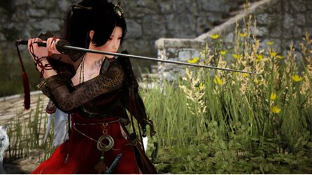 Black Desert Online - Kostenloses Pet und andere Goodies – So bekommt man sie!