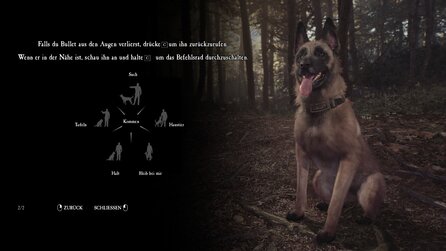 Blair Witch - Screenshots