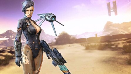Borderlands Online wurde nach einem Jahr wieder eingestellt - jetzt will ein einzelner Fan das MMO zurückholen