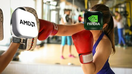 Entwicklung auf Mindfactory zeigt: Aktuell verkauft AMD mehr Grafikkarten als Nvidia und hat trotzdem das finanzielle Nachsehen