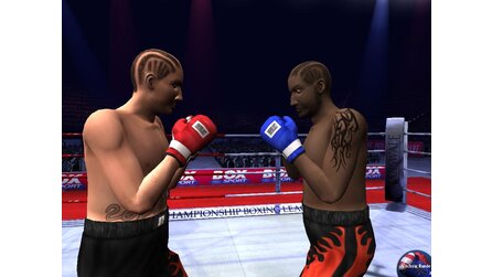 Boxsport Manager - Screenshots