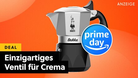 Ich mache seit 10 Jahren jeden Prime Day mit und das ist mein absolutes Highlight