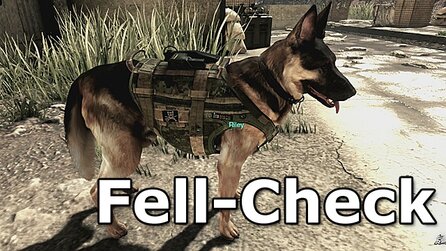 Call of Duty: Ghosts - Grafikvergleich: Die PC-Version mit neuer Fell- und Rauch-Engine