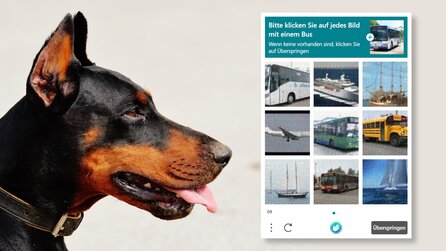 Kannst du erkennen, ob ein Hund lacht? Wenn nicht, hast du im Internet bald vielleicht ein Problem