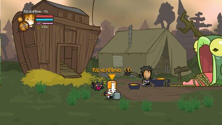 Castle Crashers