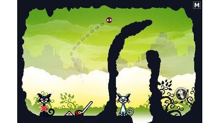 Cat Physics